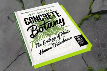 'Concrete Botany' aims to open our eyes to the plants that grow in the margins