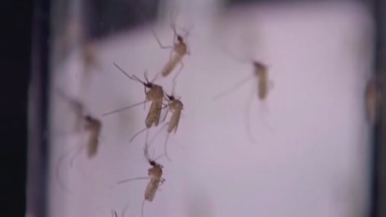West Nile Virus human cases reported in Houston, Harris County